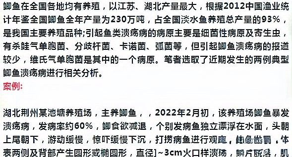 銀龍魚爛嘴怎么辦圖片視頻大全