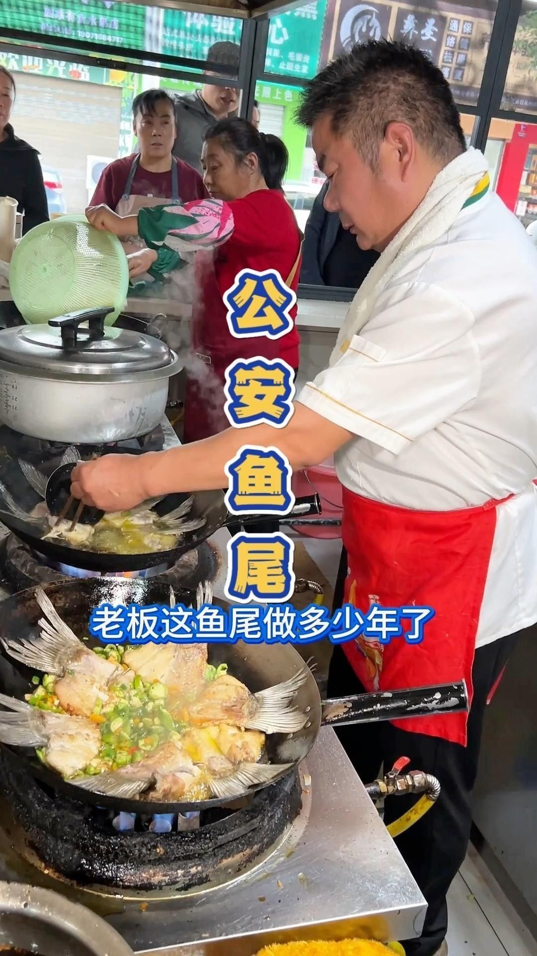 龍頭魚尾圖片的版權問題 龍頭魚尾圖片的版權問題 龍魚百科 第1張