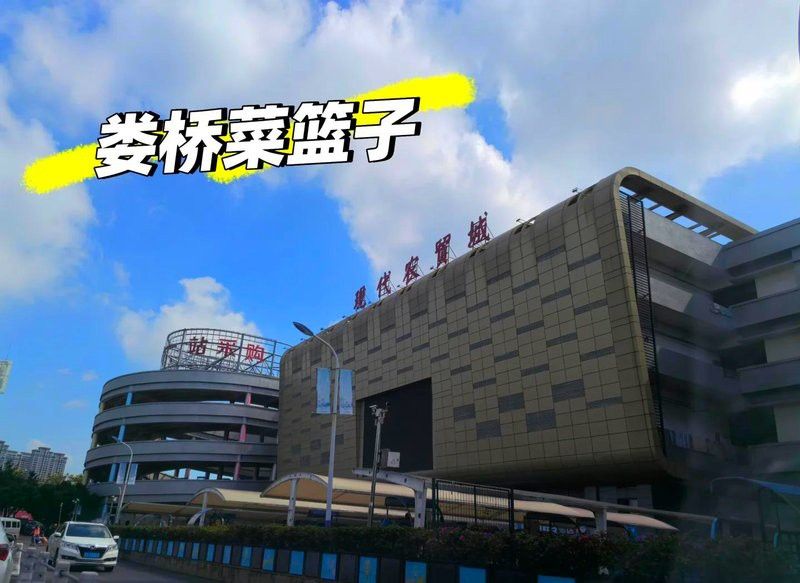 溫州龍魚哪里賣的最好最便宜