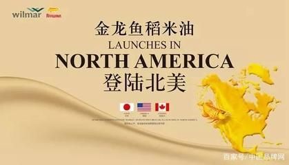 金龍魚和美國的關系怎么樣，金龍魚與美國之間存在一定的關聯