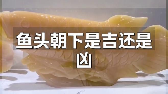金龍魚頭朝下怎么治療