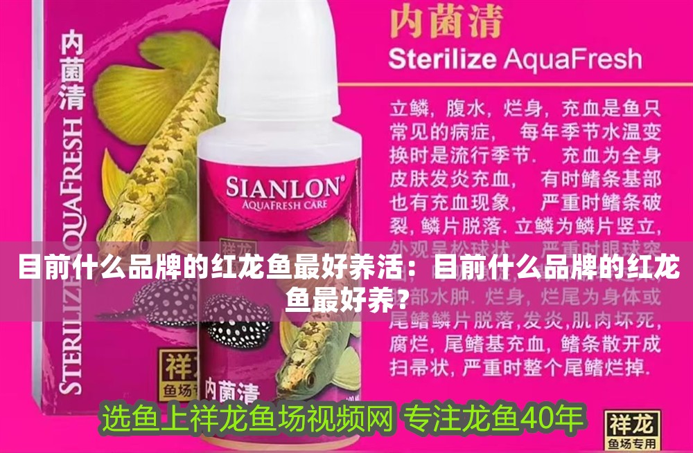 目前什么品牌的紅龍魚最好養(yǎng)活：目前什么品牌的紅龍魚最好養(yǎng)？