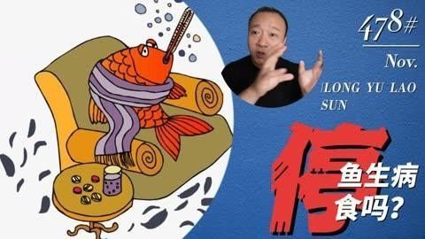 龍魚立鱗病恢復(fù)期間需要停食嗎？