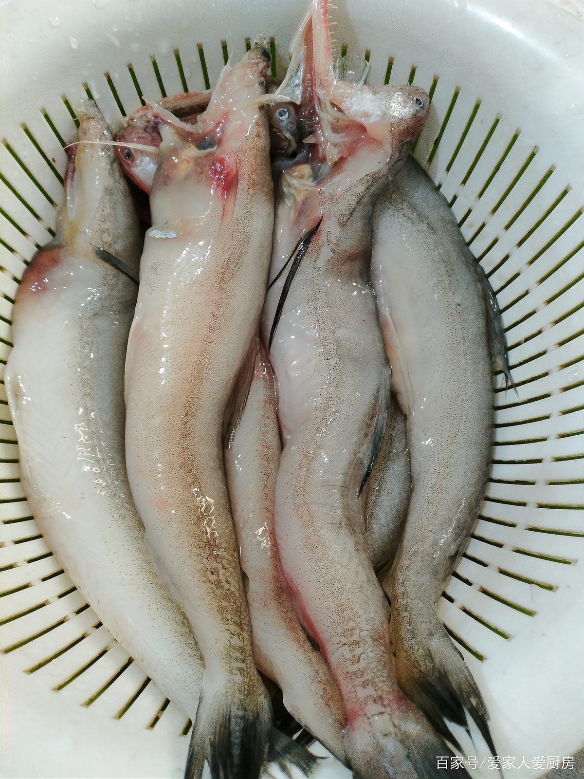 小龍魚怎么制作