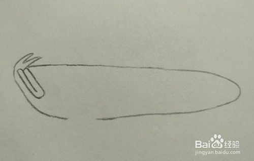 金龍魚 簡(jiǎn)筆畫（工筆畫金龍魚簡(jiǎn)筆畫步驟詳解金龍魚簡(jiǎn)筆畫步驟詳解）
