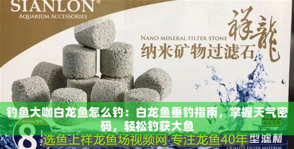 釣魚大咖白龍魚怎么釣：白龍魚垂釣指南，掌握天氣密碼，輕松釣獲大魚