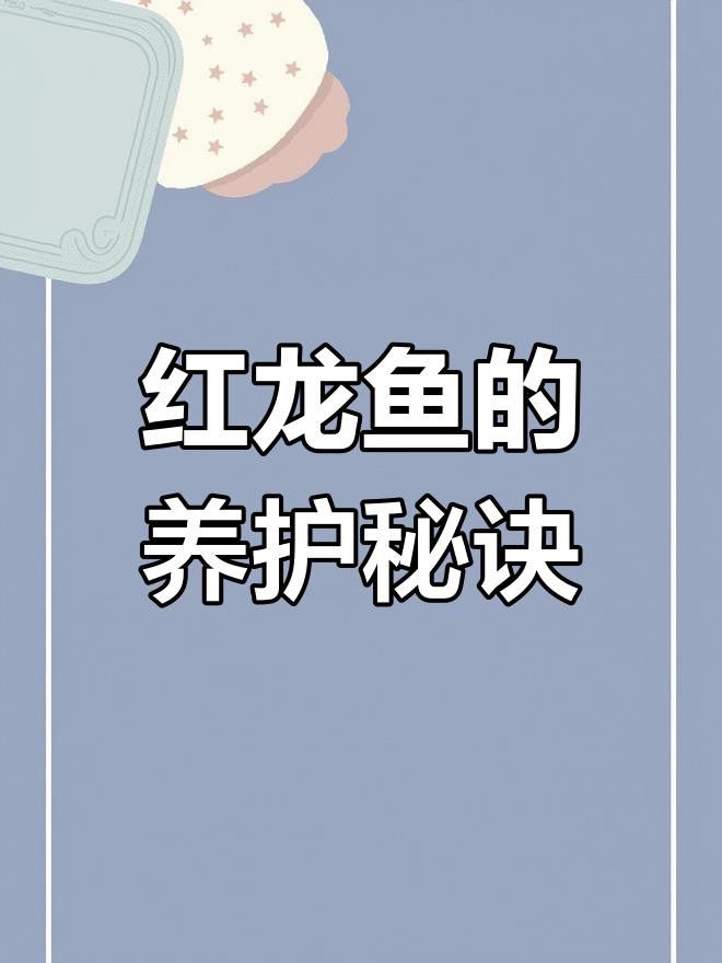 紅龍魚和金龍魚的壽命有多長？