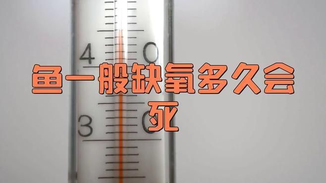 缺氧后魚多久會死