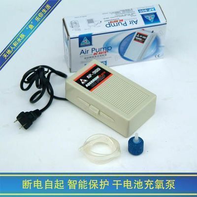 龍魚公母怎么區(qū)分：如何區(qū)分龍魚公母