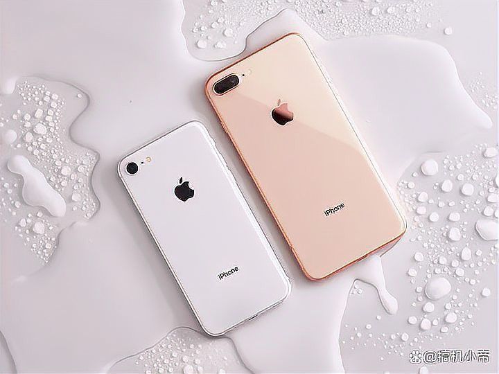 Karalux的iPhone 7金龍版現(xiàn)在還能買到嗎？ Karalux的iPhone 7金龍版現(xiàn)在還能買到嗎？ 龍魚百科 第3張