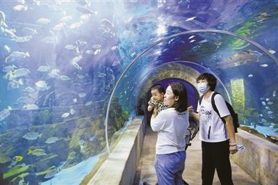 銀川水族館，寧夏銀川水族館特色動物介紹鴻森水族館門票價格及開放時間