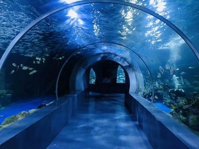 銀川水族館，寧夏銀川水族館特色動物介紹鴻森水族館門票價格及開放時間