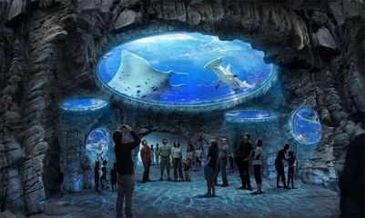 銀川水族館，寧夏銀川水族館特色動物介紹鴻森水族館門票價格及開放時間