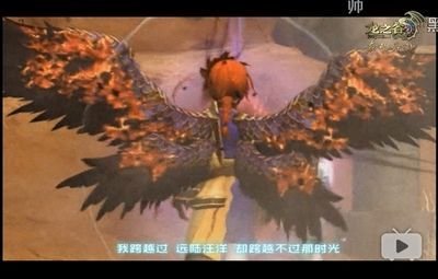 紅龍比賽視頻：2016世界紅龍比賽紅龍比賽視頻官網紅龍比賽