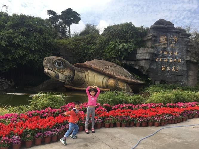 湛江湖光巖龍魚