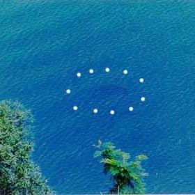 湛江湖光巖龍魚