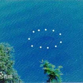 湛江湖光巖龍魚