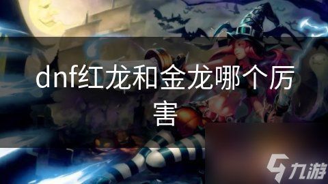 紅龍級別在游戲中的作用