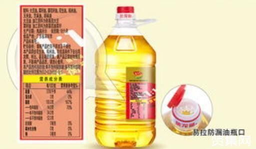 金龍魚的同行