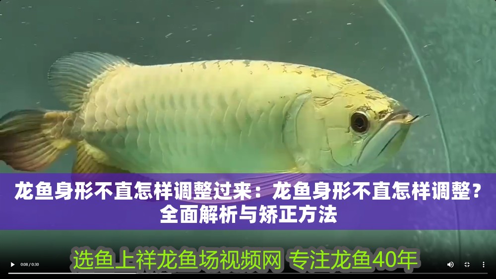 龍魚身形不直怎樣調整過來：龍魚身形不直怎樣調整？全面解析與矯正方法