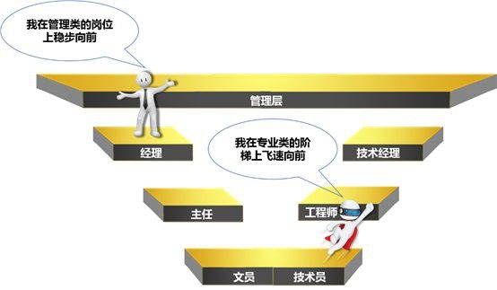 金龍魚北京公司地址在哪里
