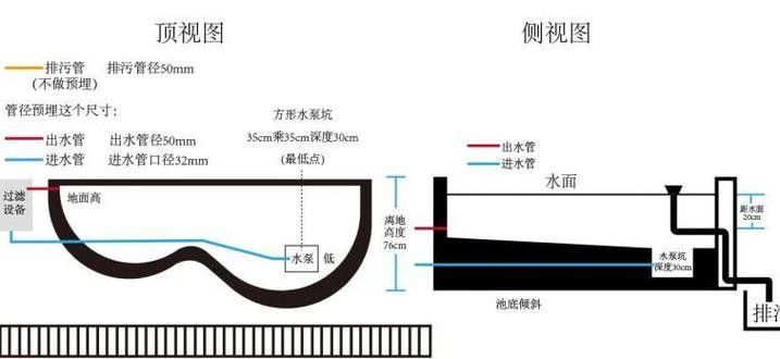 如何選擇適合金頭過背金龍魚的過濾系統(tǒng)？