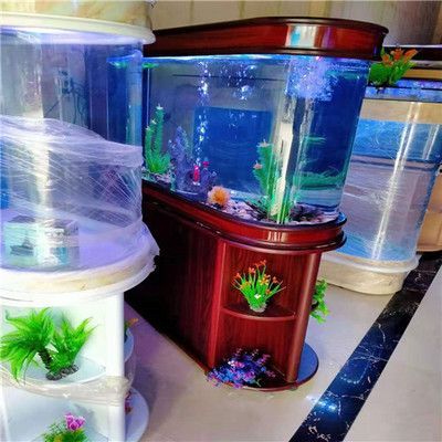 龍魚放入新缸后的喂食時機（剛買來的龍魚可以在買來的第二天少量喂食，主要以開口為主）