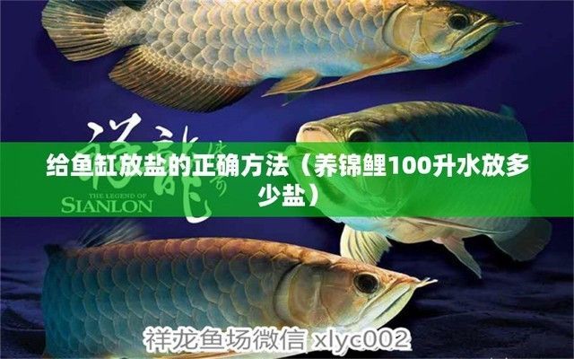 給龍魚下鹽水比（如何給龍魚下鹽水）