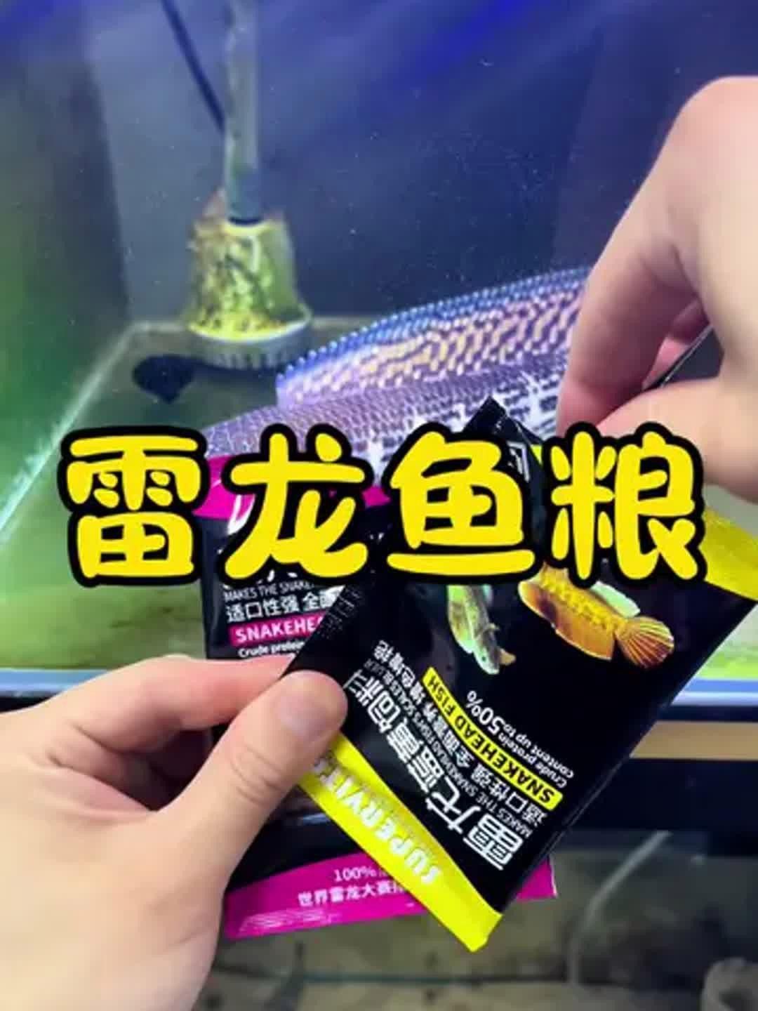 有哪些品牌雷龍魚飼料推薦