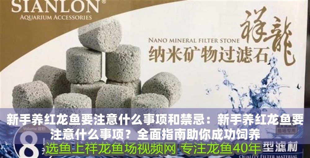 新手養紅龍魚要注意什么事項和禁忌：新手養紅龍魚要注意什么事項？全面指南助你成功飼養