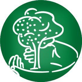 龍眼爛尾最怕三樣東西 龍魚百科 第2張 龍眼爛尾最怕三樣東西 龍眼爛尾最怕三樣東西 龍魚百科 第2張