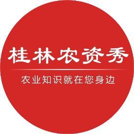 龍眼爛尾最怕三樣東西 龍魚百科 第4張 龍眼爛尾最怕三樣東西 龍眼爛尾最怕三樣東西 龍魚百科 第4張