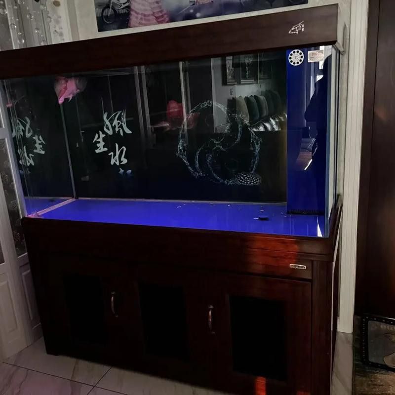 胭脂魚能和龍魚混養嗎圖片欣賞