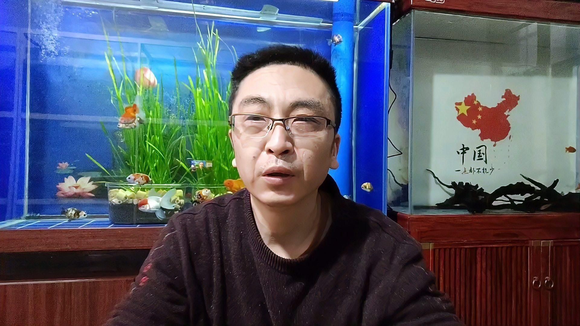 胭脂魚能和龍魚混養嗎圖片欣賞