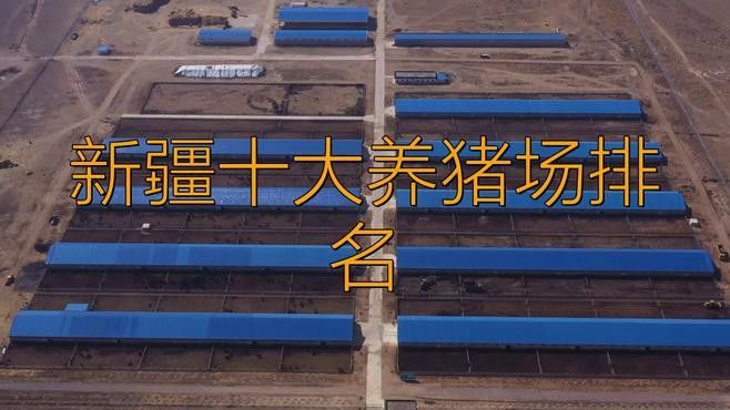 這些養殖場哪個口碑最好？ 這些養殖場哪個口碑最好？ 龍魚百科 第7張
