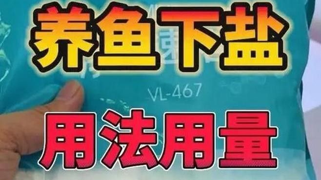 龍魚缸加鹽什么比例