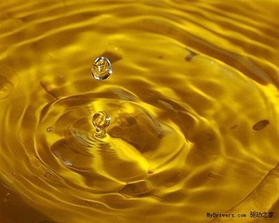 為什么金龍魚總在水面上游（為什么金龍魚總在水面上游？） 為什么金龍魚總在水面上游（為什么金龍魚總在水面上游？） 龍魚百科 第2張