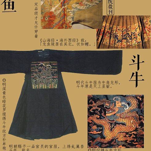 龍魚品級劃分（龍魚品品級劃分標(biāo)準(zhǔn)，龍魚飼養(yǎng)環(huán)境要求）