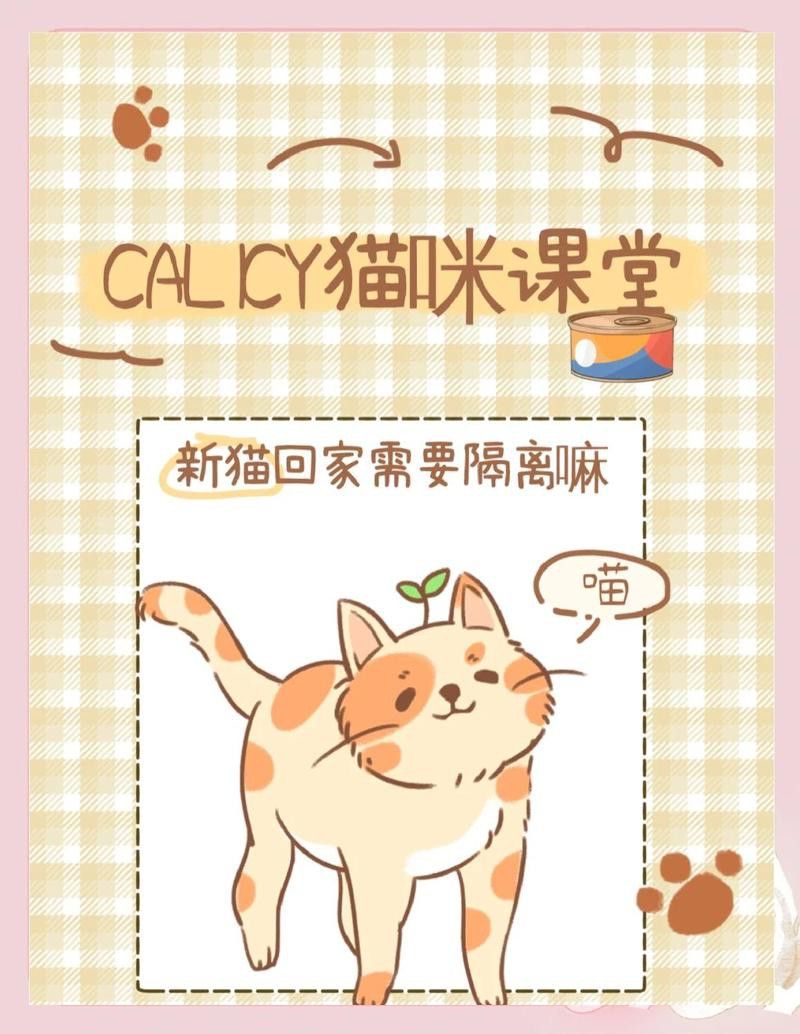 銀龍魚(yú)混養(yǎng)視頻大全圖片高清