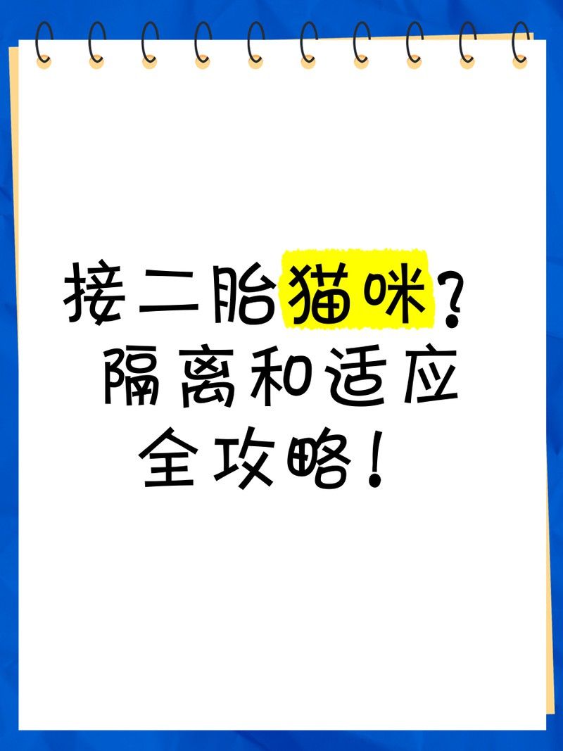 銀龍魚(yú)混養(yǎng)視頻大全圖片高清