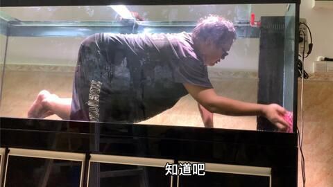龍魚缸改原生缸底部承受的住嗎：龍魚缸改原生缸底部承受的住嗎詳情