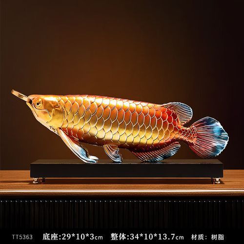 七彩金龍魚圖片大全欣賞