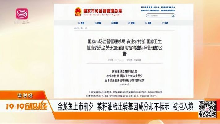 金龍魚的趣事（關于金龍魚的趣事） 金龍魚的趣事（關于金龍魚的趣事） 龍魚百科 第2張