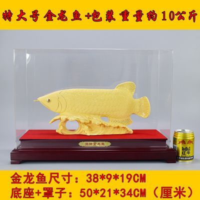 最大的金龍魚可以重達200斤（約100公斤），可以重達100公斤：世界上最大的金龍魚有多重？