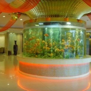 廣州魚缸批發市場ff祥龍魚場（廣州魚缸批發市場）