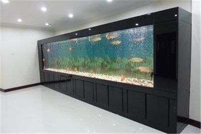 廣州魚缸批發市場ff祥龍魚場（廣州魚缸批發市場）