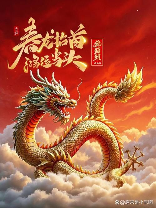 金龍唯美圖片 金龍唯美圖片 龍魚百科 第8張