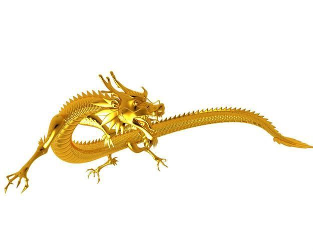 金龍唯美圖片 金龍唯美圖片 龍魚百科 第25張
