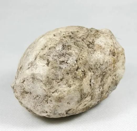 浮水實驗如何鑒別紅龍涎真偽？