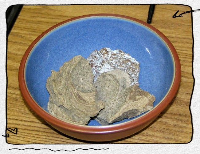 浮水實驗如何鑒別紅龍涎真偽？